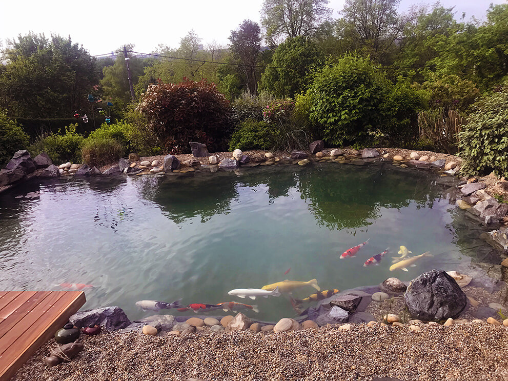 Bassin carpes Japonaise FONTAINE