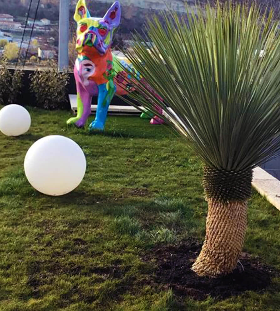 Jardin contemporain