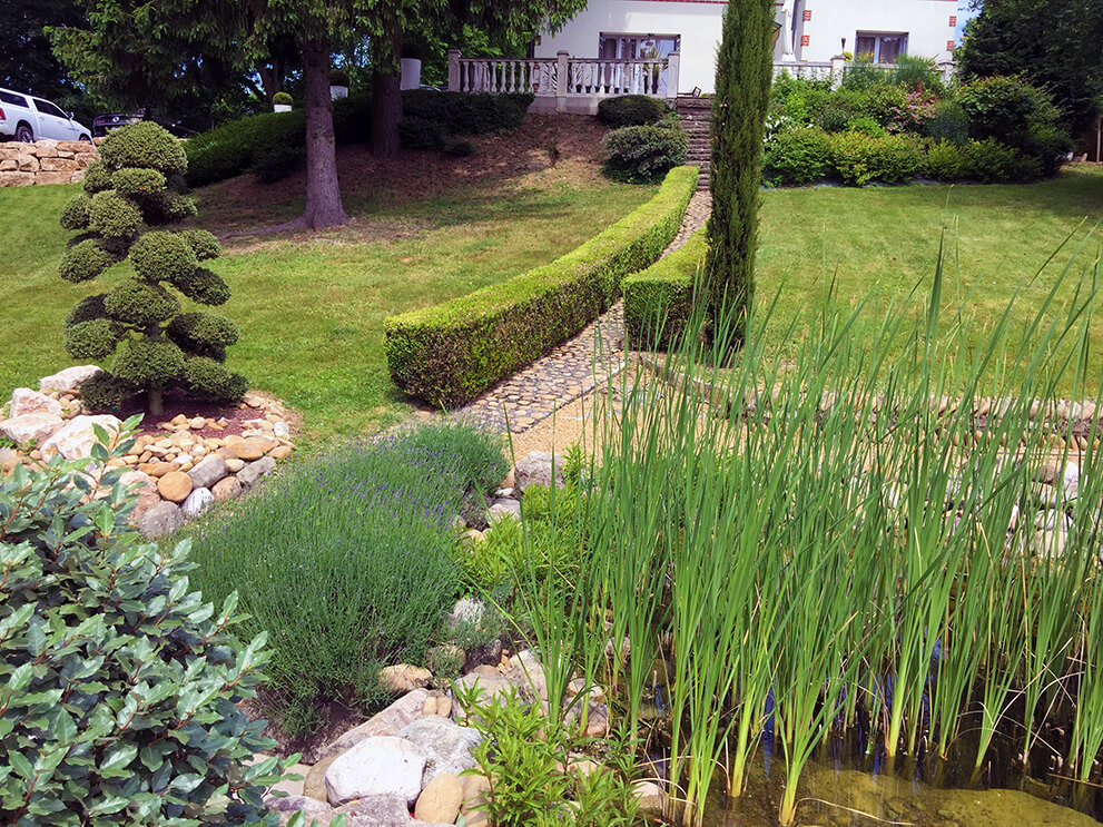 Entretien jardin