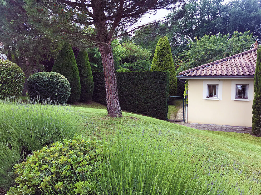 Entretien espace verts Dardilly